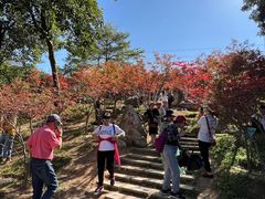 -广州市帽峰山景区