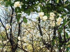 -金牛山大酒店(南北湖风景区店)