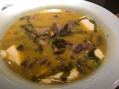 -猫头婴小酒馆FUN OWL(1912店)