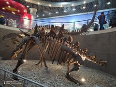 -国家自然博物馆