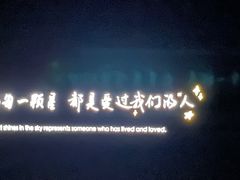 -武商摩尔影城(国广IMAX激光店)