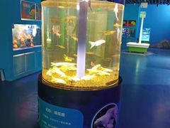 -沙沙哗啦海洋馆(华宇百花谷店)