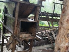 -合肥滨湖国家森林公园