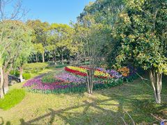 -上海鲜花港