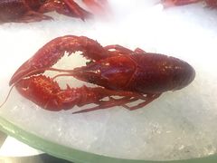 -红钳侠小龙虾·烧烤(中赢康康谷店)
