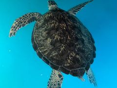 -正佳极地海洋世界