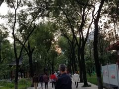 -莲湖公园