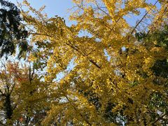 -成都市活水公园