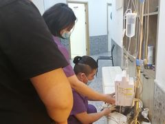 -萌兽医馆·绝育·24小时内科·宠物医院(德胜店)