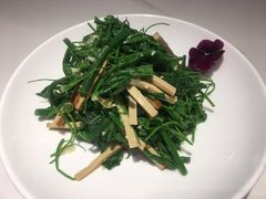 丝瓜尖-阿里疆Alijiang·丝路美食·异域风情·清真(长楹天街店)