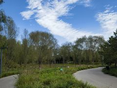 -东郊湿地公园