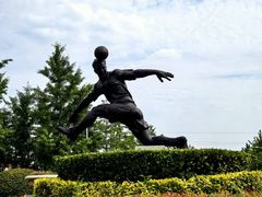 -山东鲁能乒乓球学校