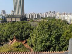 -深圳龙潭公园