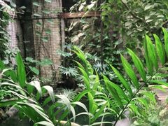 -The Flowers Coffee(南山店)