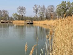 -野鸭湖国家湿地公园