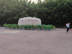 -莲花池公园