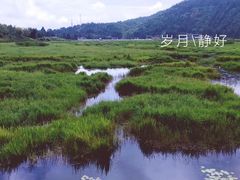 -腾冲北海湿地