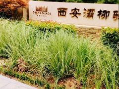 -灞柳驿酒店(香湖湾地铁站店)