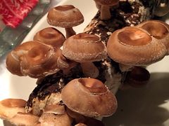 翡翠小城(Jade Palace)-翡翠小城·海鲜豆捞·广式点心(老佛爷店)