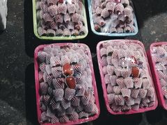 -菜园坝水果市场