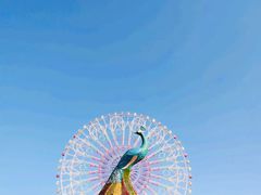 -七彩云南欢乐世界