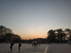 -东莞植物园