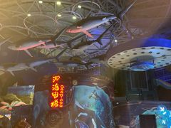 -烟台海昌鲸鲨海洋公园