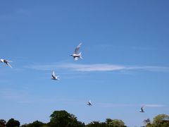 -马达京岛