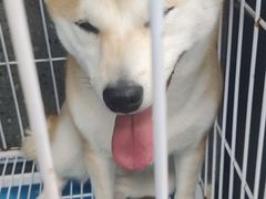 -宠物家(大兴旧宫店)