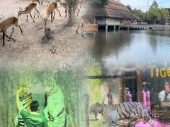 -清迈夜间动物园