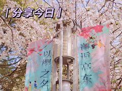 -高东镇樱花园
