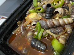 -深圳野生动物园