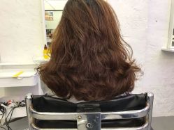 -SALON V