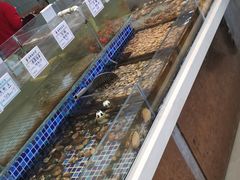 -天盛海鲜烧烤大排档·本地小海鲜·牟平腿穗子(幸福店)