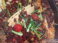 -老板恋上鱼(恒隆广场店)