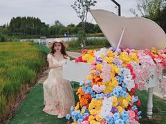 -杭州湾海上花田景区