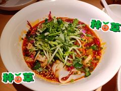 陕西凉皮-大师兄·手工面·西北菜(珠海环宇城店)