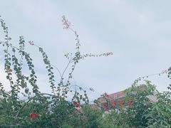 -豆舞咖啡(民乐路店)