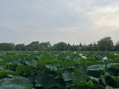 -云龙湖旅游景区