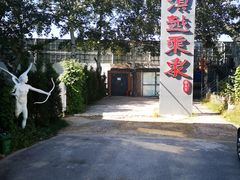 -滇越乘象云南餐厅(豆各庄店)