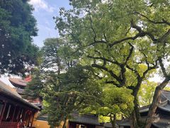 -法雨寺餐厅