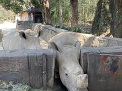 -杭州野生动物世界