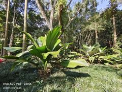 -中国科学院西双版纳热带植物园