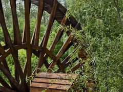 -合肥滨湖国家森林公园