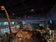 -自贡恐龙博物馆