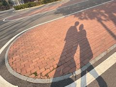 -洋湖国家湿地公园
