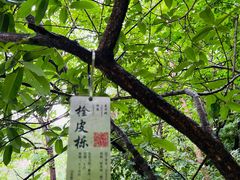 -无染寺