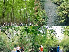 -桤木河湿地公园