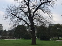 -武汉大学-樱园