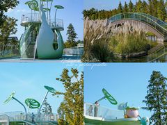 -渌洋湖湿地公园